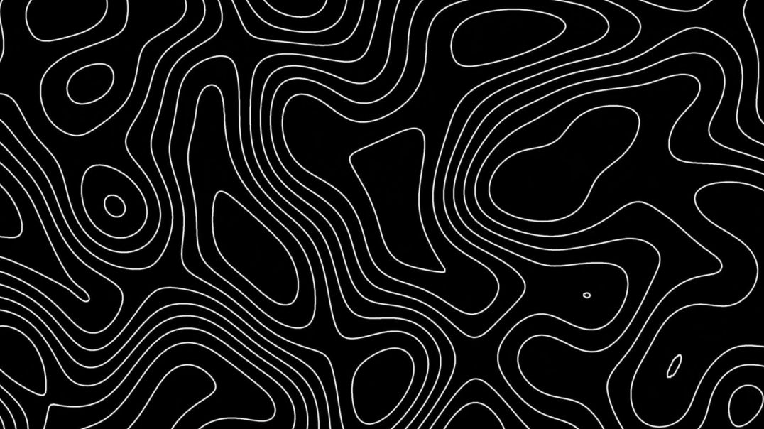 ⁣Video background : Free Minimal Topographic & Grid Motion Background 4K