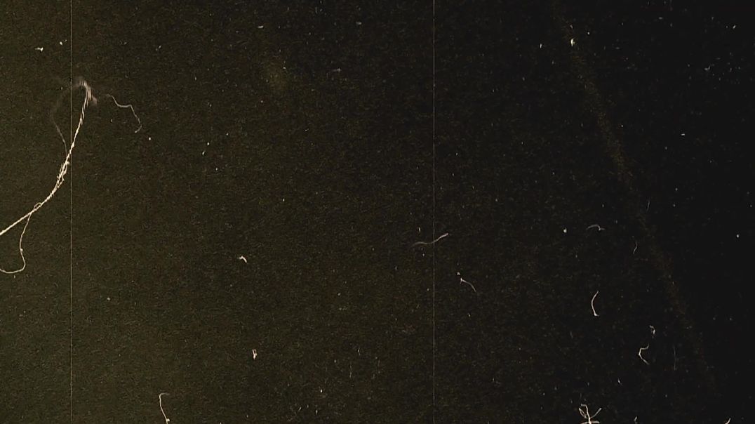 Video background : Free Vintage Film Overlay & Retro Grid Stock Footage