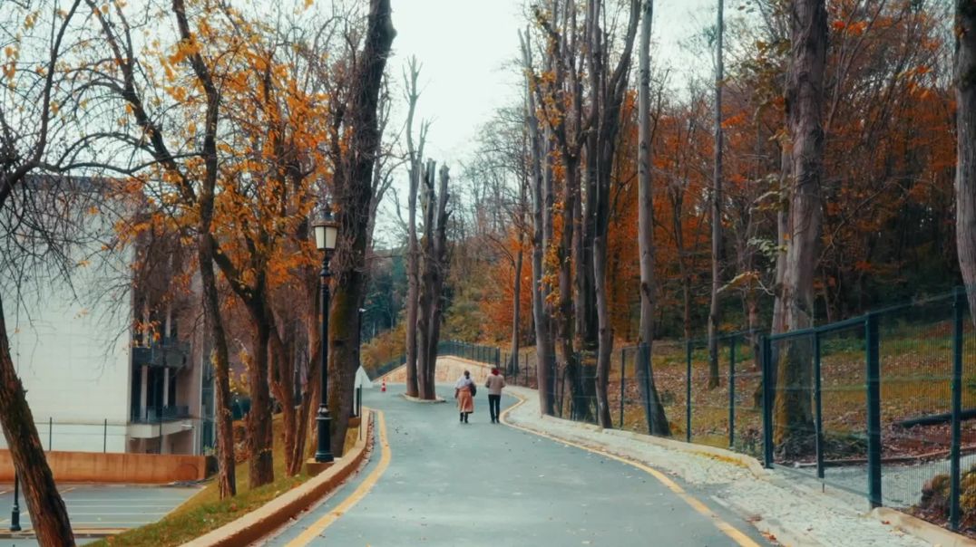 ⁣Autumn Park Walk Cinematic Free Stock Footage